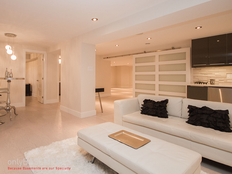 Inlaw Suites Design Ideas Only Basements